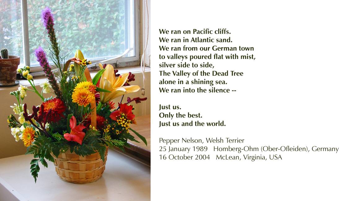 Bouquet fr Hlth Cntr w/POEM