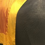 Elephant. Ayutthaya