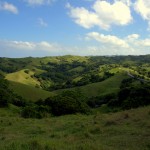 DSC_0456 DSC_0456
