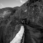 DSC_1153 DSC_1153