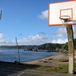 IMG_3383 IMG_3383