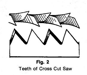 -TeethDrawing