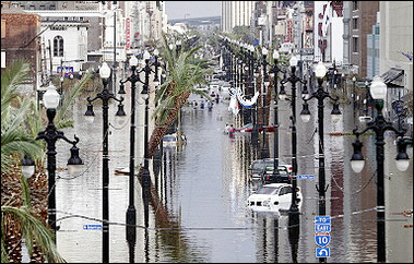 Canal St the day after