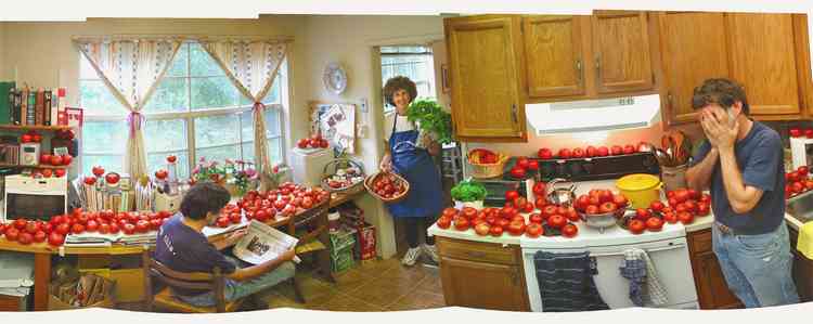 Saving the crop as Hurricane Isabel bears down on Virginia, 2003. Saving the crop from Hurricane Isabel 2003