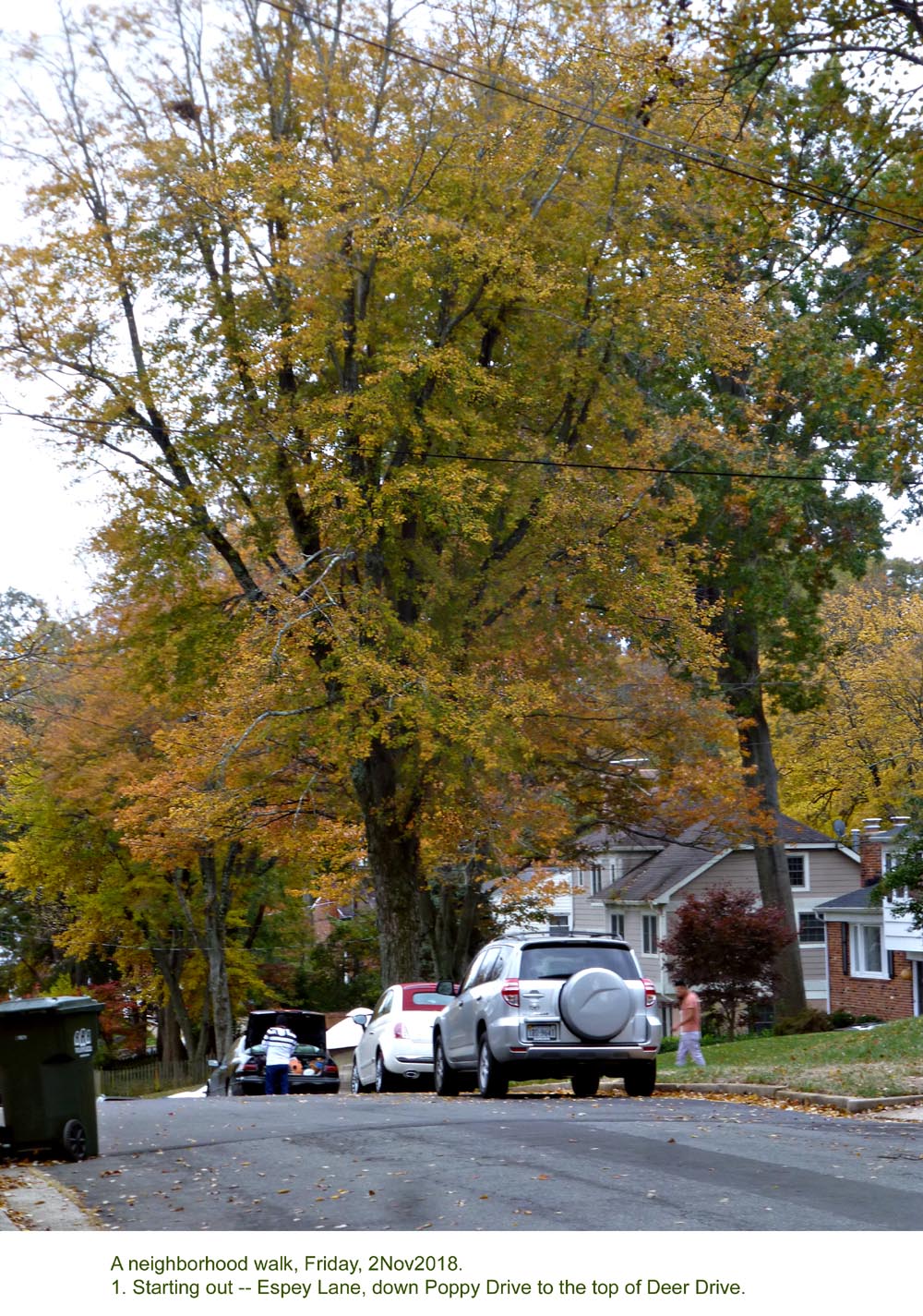 FallFoliage2018-01-Downhill-DeerDrive-