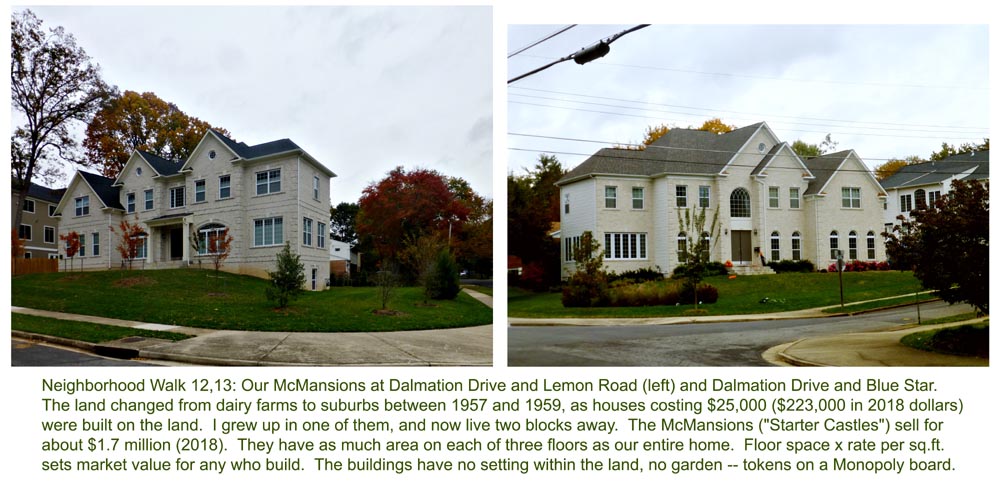 My childhood home up the street went in in 1957. In 1958, 1959, Dad and I walkd down here to collect firewood as the land was cleared for the first round of houses. FallFoliage2018-12+13-McMansionCOMPOSIT-1000