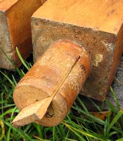 foxtail wedged legs of butcher block