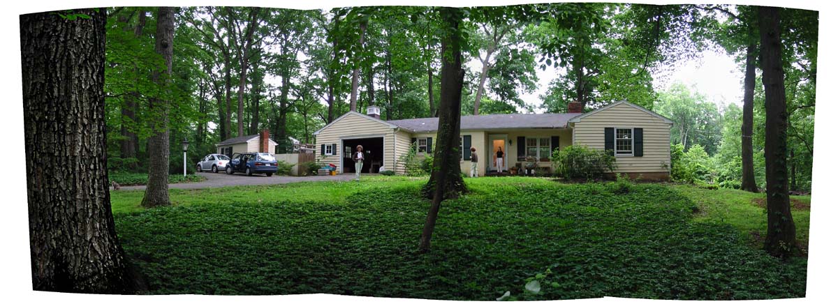 PAN House in the trees