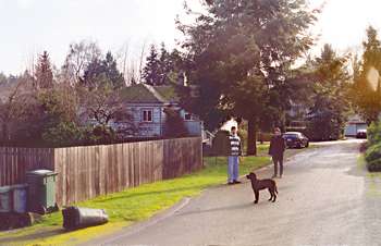 Seattle street, European style