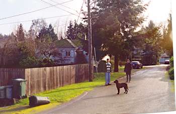 Seattle street, original