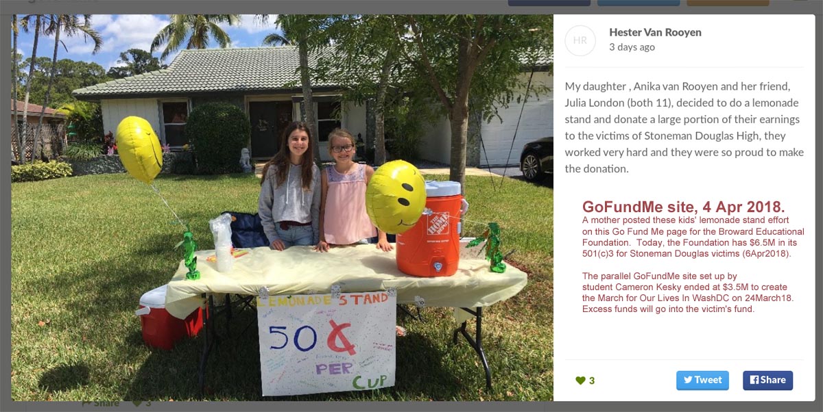 Lemonade Stand kids raise money for Broward Ed Fdn victims fund LemonadeStandKidsRaiseMoneyForGoFundMeBrowardEdFdn-1200pxjpg.jpg